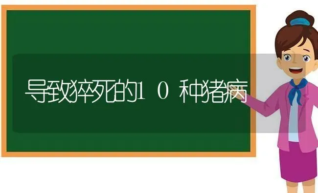 导致猝死的10种猪病 | 家畜养殖