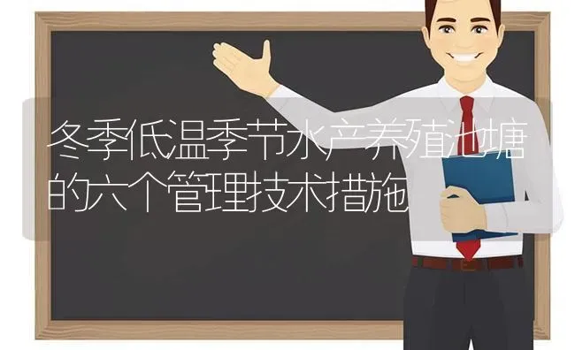 冬季低温季节水产养殖池塘的六个管理技术措施 | 动物养殖百科