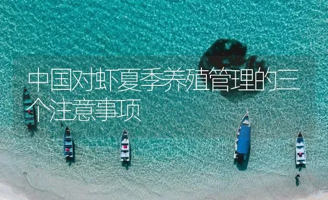 中国对虾夏季养殖管理的三个注意事项 | 海水养殖