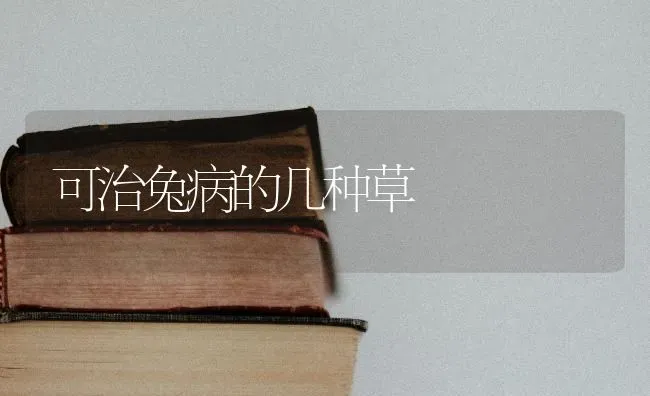 可治兔病的几种草 | 家畜养殖