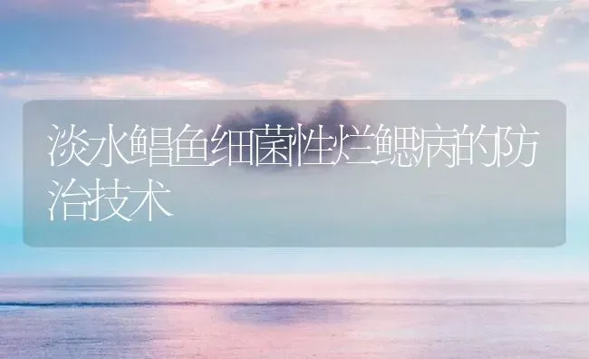 淡水鲳鱼细菌性烂鳃病的防治技术 | 海水养殖