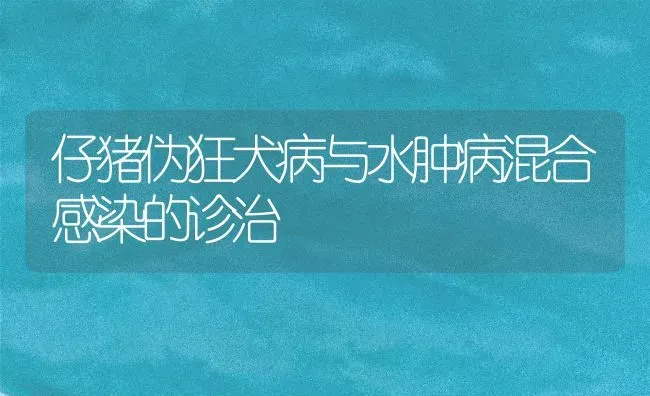 仔猪伪狂犬病与水肿病混合感染的诊治 | 家畜养殖