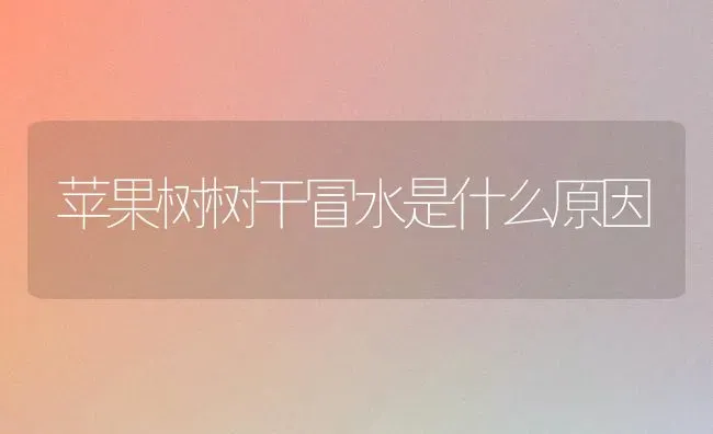 畜禽粪污处理20问，你晓得哪些？（下） | 家禽养殖