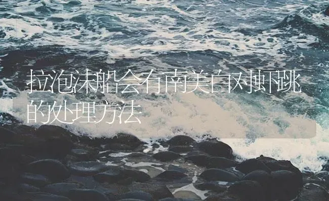 拉泡沫船会有南美白对虾跳的处理方法 | 海水养殖