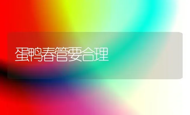 蛋鸭春管要合理 | 家禽养殖