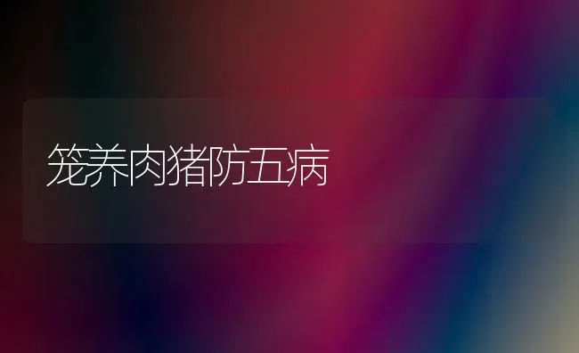 笼养肉猪防五病 | 家畜养殖
