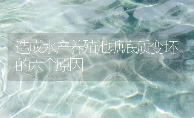 造成水产养殖池塘底质变坏的六个原因 | 动物养殖百科