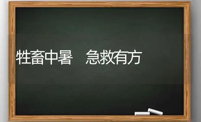 牲畜中暑 急救有方 | 家畜养殖