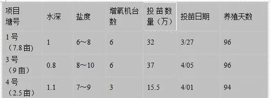 善于调水保证虾塘溶解氧,养殖南美白对虾高产并不难