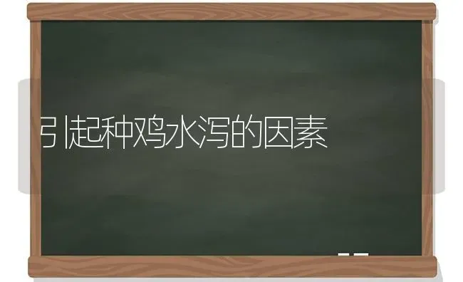 引起种鸡水泻的因素 | 家禽养殖