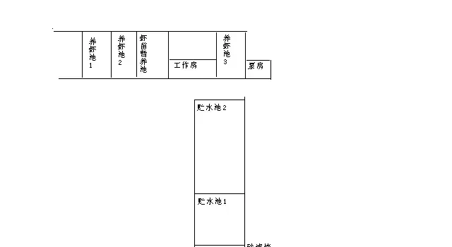 利用大菱鲆简易工厂化养殖南美白对虾，利润将大大提高