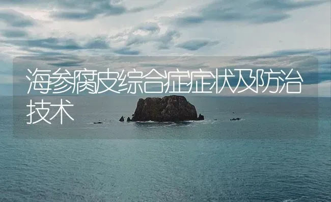 海参腐皮综合症症状及防治技术 | 养殖病虫害防治