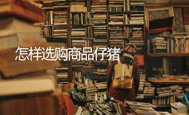 怎样选购商品仔猪 | 家畜养殖