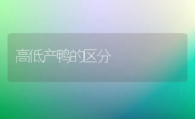 高低产鸭的区分 | 家禽养殖