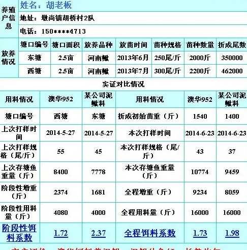 澳华泥鳅饲料料比更低成鳅体色光亮规格整齐