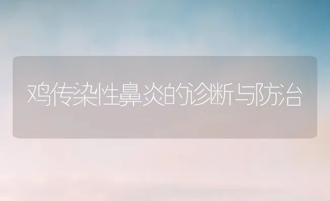 鸡传染性鼻炎的诊断与防治 | 家禽养殖
