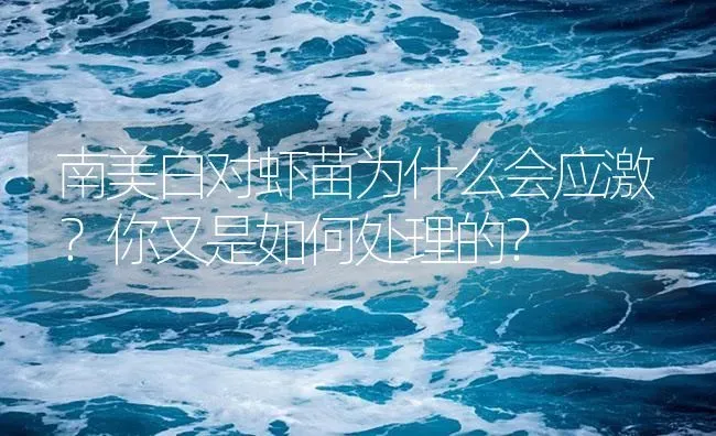 南美白对虾苗为什么会应激？你又是如何处理的？ | 海水养殖