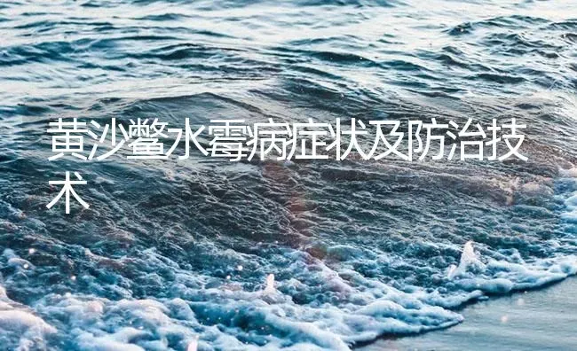 黄沙鳖水霉病症状及防治技术 | 养殖病虫害防治