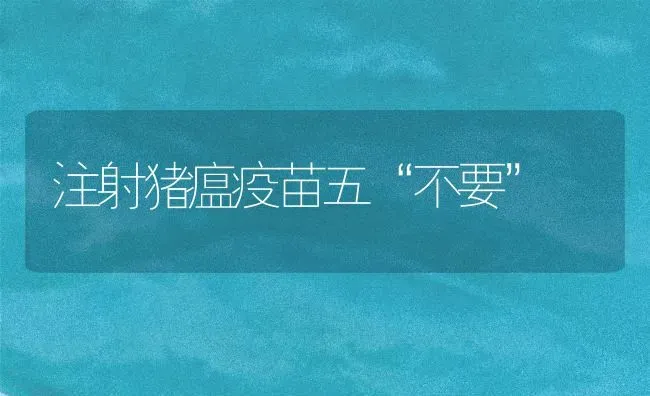 注射猪瘟疫苗五“不要” | 家畜养殖