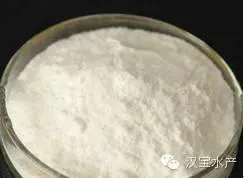 水产养殖过程中六种常见微生态制剂简介