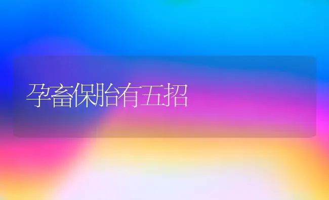 孕畜保胎有五招 | 家畜养殖