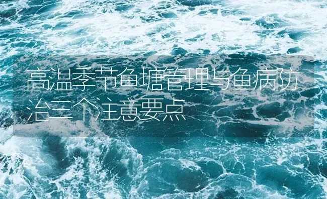 高温季节鱼塘管理与鱼病防治三个注意要点 | 养殖病虫害防治