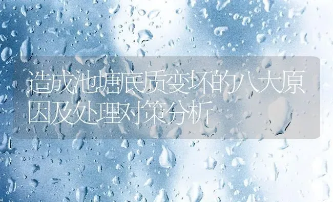 造成池塘底质变坏的八大原因及处理对策分析 | 动物养殖百科