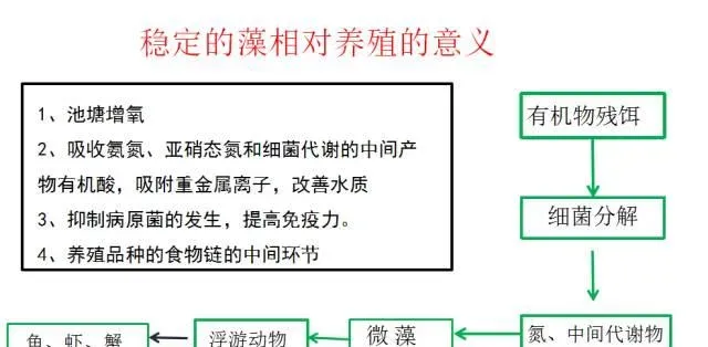 南美白对虾养殖池塘的藻相分析及解决方案