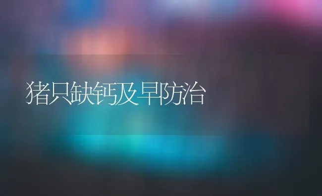 猪只缺钙及早防治 | 家畜养殖