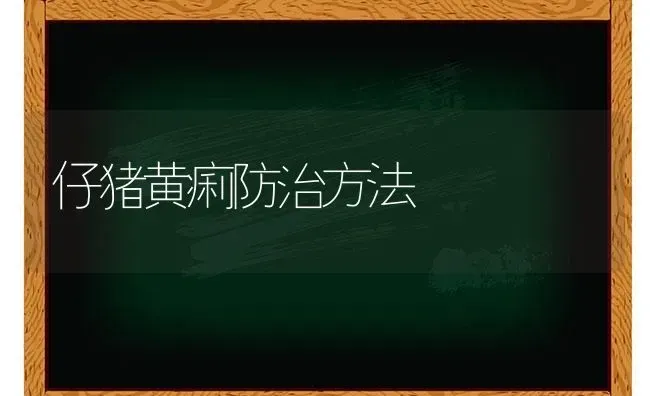 仔猪黄痢防治方法 | 家畜养殖