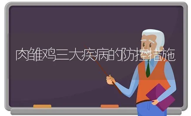 肉雏鸡三大疾病的防控措施 | 家禽养殖