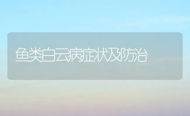 鱼类白云病症状及防治 | 淡水养殖