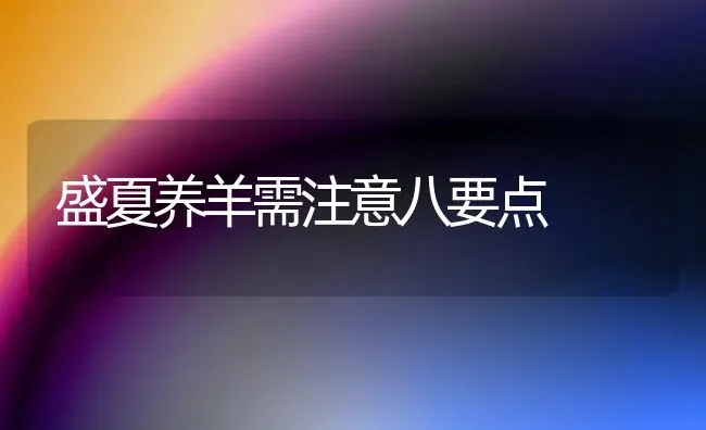 盛夏养羊需注意八要点 | 家畜养殖