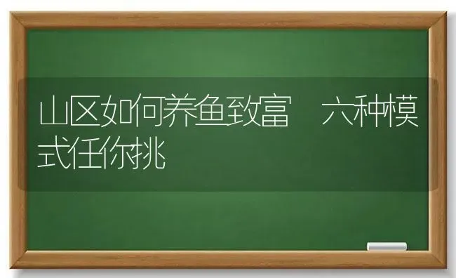 山区如何养鱼致富 六种模式任你挑 | 淡水养殖