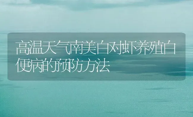 高温天气南美白对虾养殖白便病的预防方法 | 海水养殖