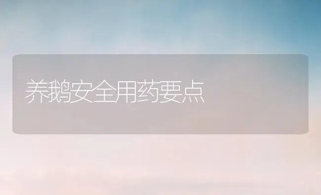 养鹅安全用药要点 | 养殖病虫害防治