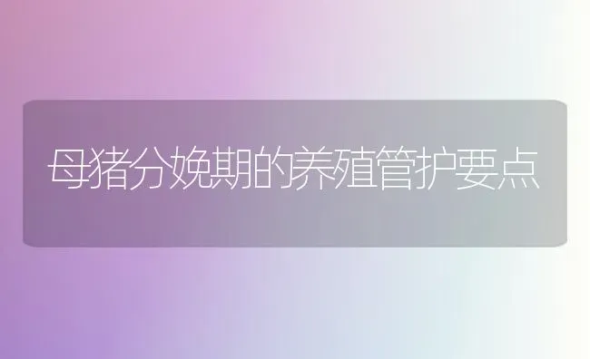 母猪分娩期的养殖管护要点 | 家畜养殖