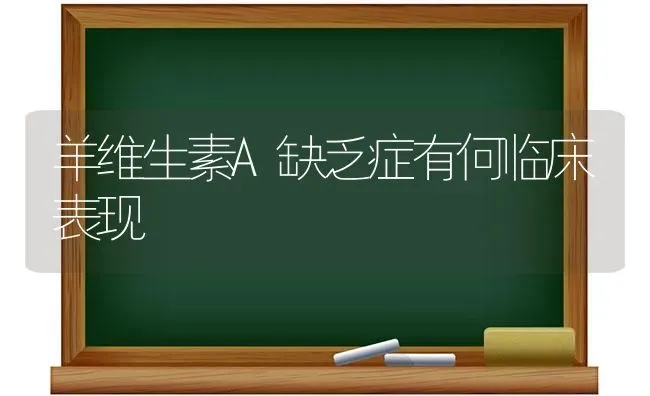 羊维生素A缺乏症有何临床表现 | 家畜养殖