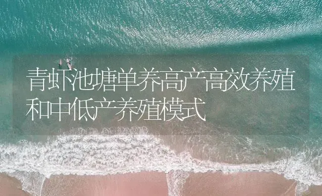 青虾池塘单养高产高效养殖和中低产养殖模式 | 海水养殖