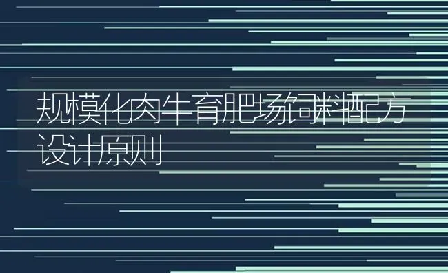 规模化肉牛育肥场饲料配方设计原则 | 动物养殖饲料