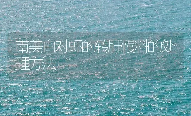 南美白对虾的转肝慢料的处理方法 | 海水养殖