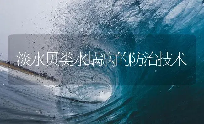 淡水贝类水螨病的防治技术 | 养殖病虫害防治