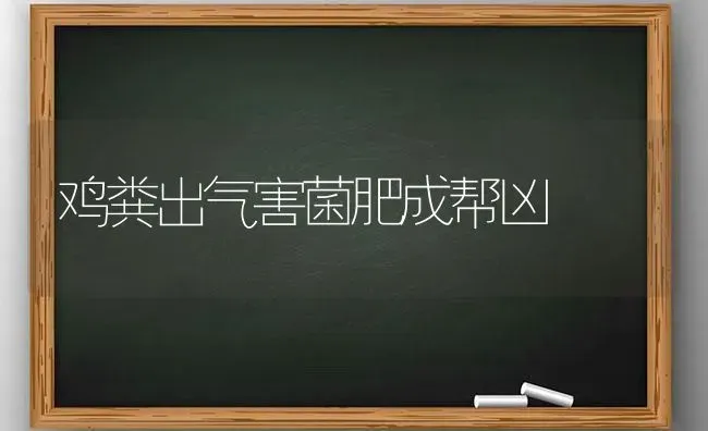 鸡粪出气害菌肥成帮凶 | 家禽养殖