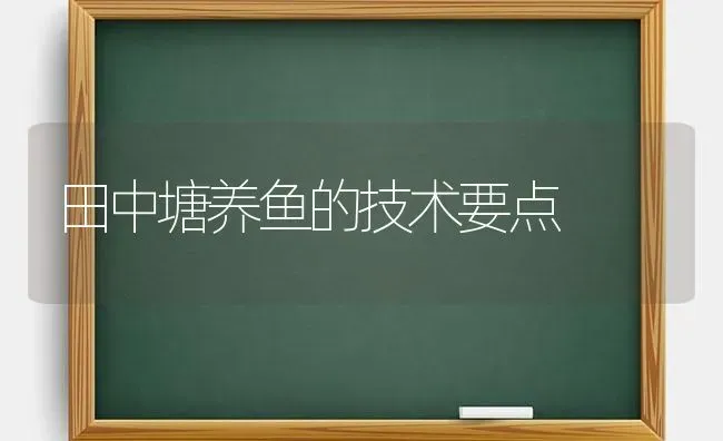 田中塘养鱼的技术要点 | 淡水养殖