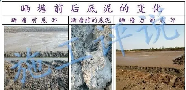 夏季水产养殖户如何保持池塘溶解氧？