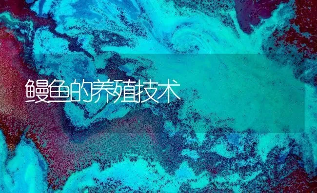 鳗鱼的养殖技术 | 淡水养殖