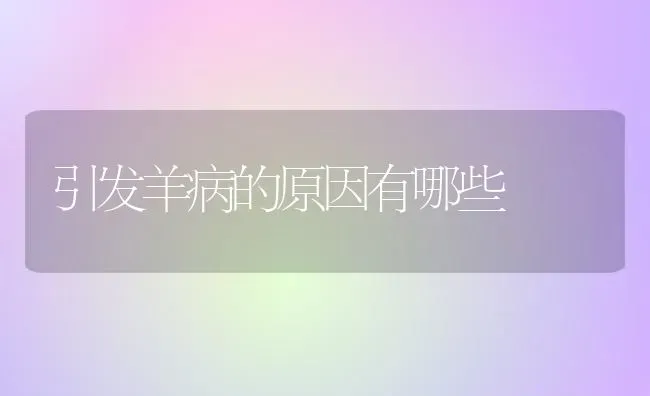 引发羊病的原因有哪些 | 家畜养殖