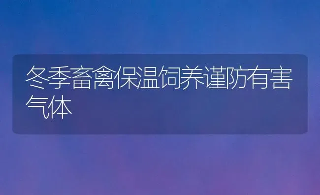 冬季畜禽保温饲养谨防有害气体 | 家禽养殖