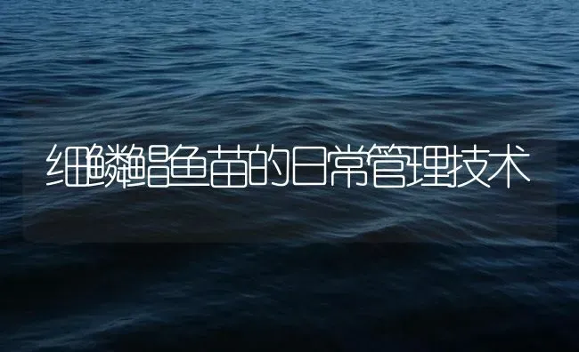 细鳞鲳鱼苗的日常管理技术 | 海水养殖