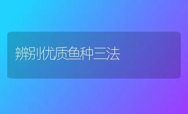 辨别优质鱼种三法 | 淡水养殖